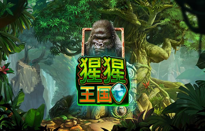 bob手机客户端下载入口
